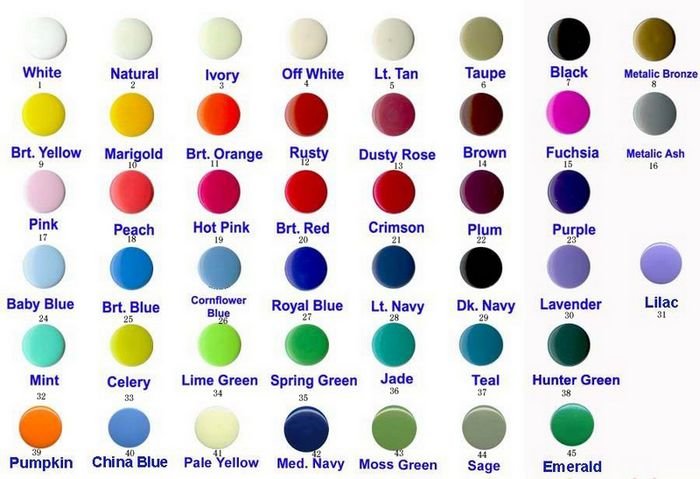 color2.jpg