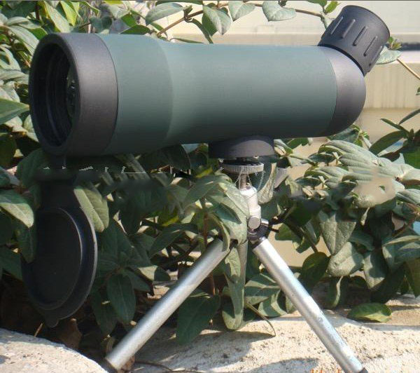 5b.jpg