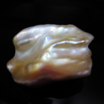 IMG_2112fu.jpg