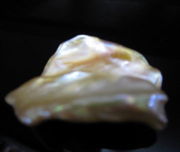 IMG_2110fu.jpg