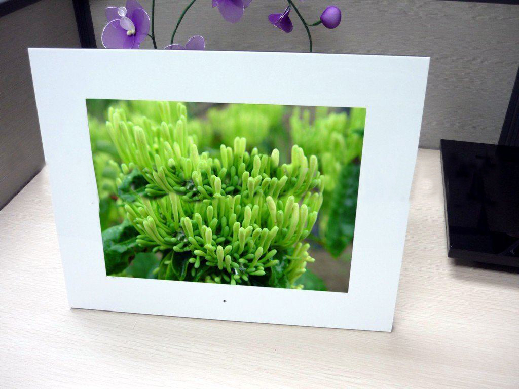 10.4 Inch Digital Photo Frames / Picture Frame