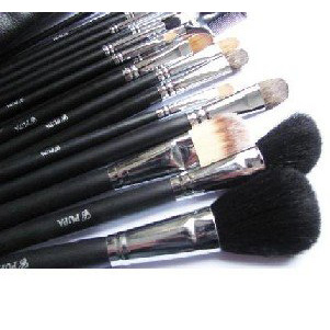 Free Shipping New 17 Pieces Professional Makeup Brushes