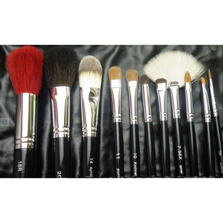 Beauty Goods 6146 Professional Brush Set 11Pcs / Set with Brush Bag