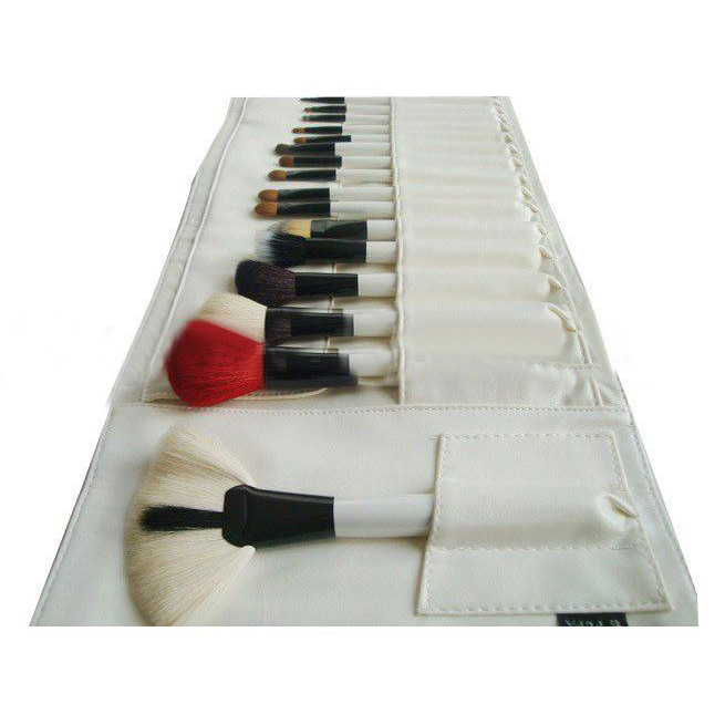 Elegant Makeup Brush Set / 22 Cosmetic Brush Set