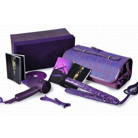 Purple Gift Set Travel Hair Dryer Ceramic Irons