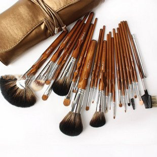 Free Shipping High Quality Professional 22 pcs Cosmetic Brush Set
