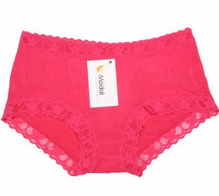 Sexy Lace Underwear Lady's Costumes