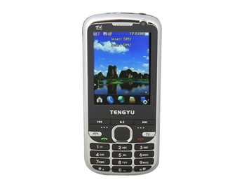 2.6" QVGA Touch Screen Quad-band Dual SIM Dual Standby CellPhone with FM TV Bluetooth and 4GB TF Card (Black)