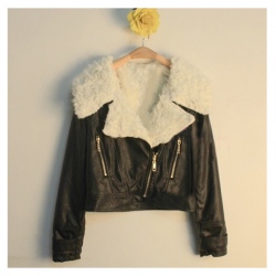 Amanda99 Lovely and FashionStyle Thicken Lapel and Zipper Design Short Pattern Pelisse For Woman/Girl