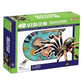 4D Master Teaching Model Series - 4D Tarantula Model
